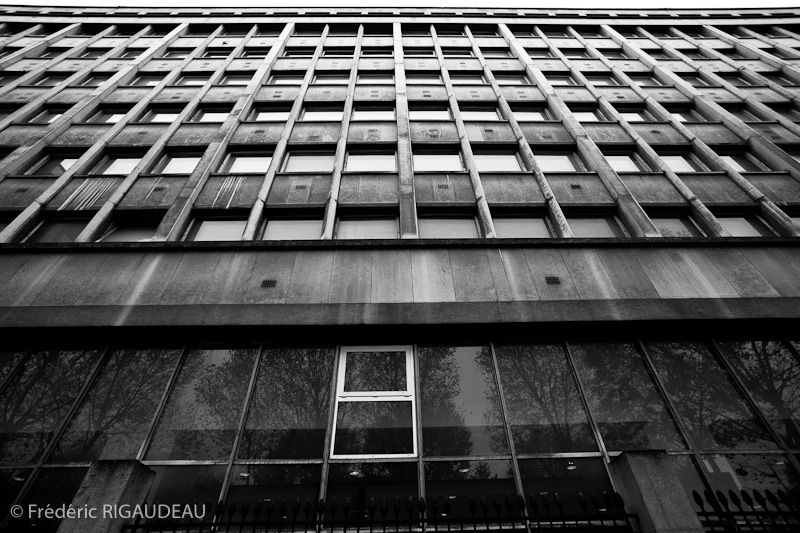 2011111124-Jussieu-motif