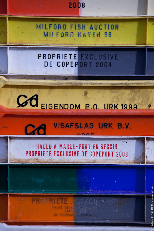 Bacs poissons Trouville