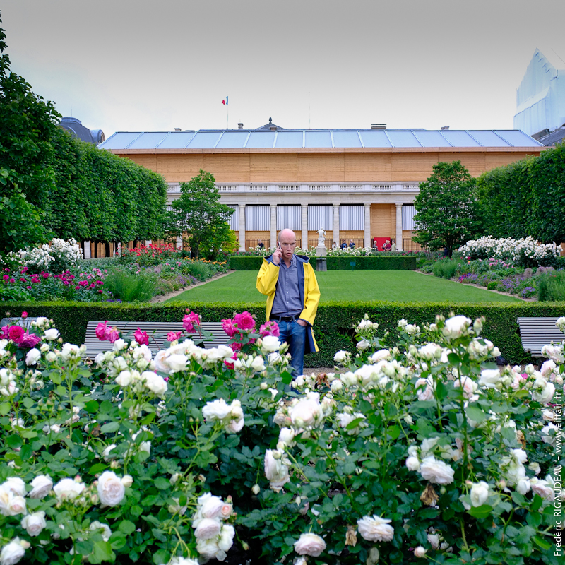 Marin des roses