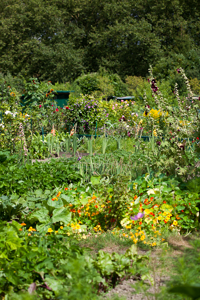 wpid-Quintinie_jardin.jpg