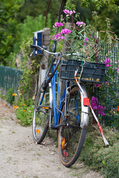 wpid-Quintinie_velo.jpg